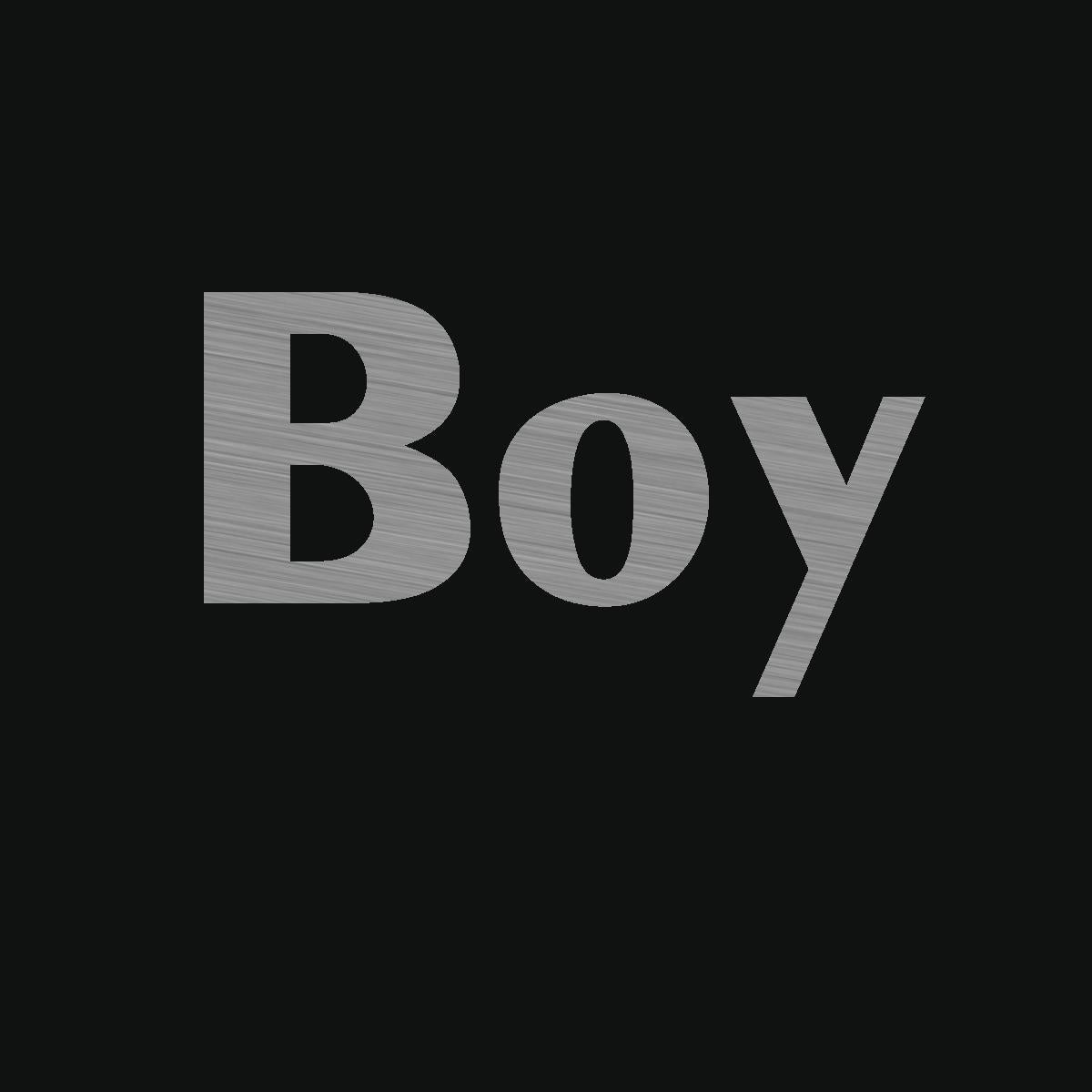 Boy Special Silver Edition Identity T-Shirt