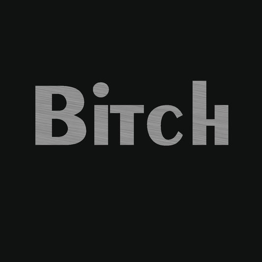 B*tch Special Silver Edition Identity T-Shirt